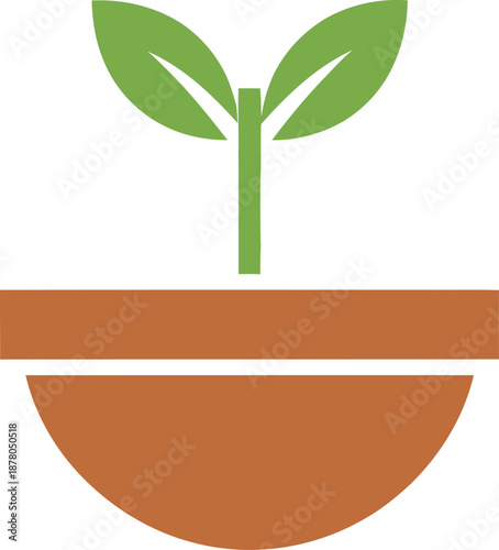 A green plant sprout in a pot.