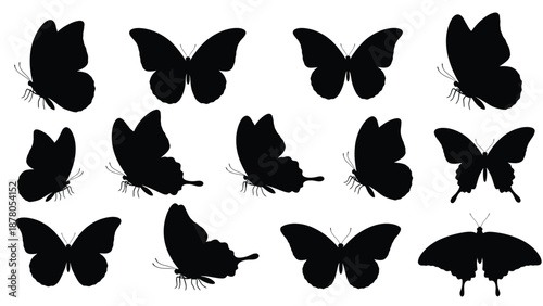 collection of black butterfly silhouettes on white background