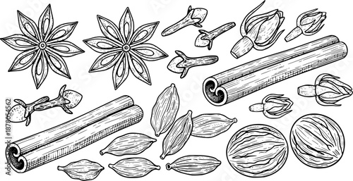 Hand Drawn Ramadan Spices Set Vector Illustration
