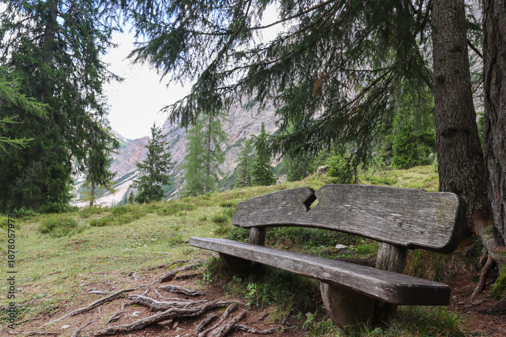 Fototapeta premium Bench in the forest, near Lago di Braies, Italy