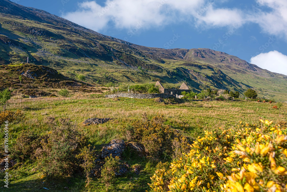 Obraz premium The Clachan Durch Burial Ground, Skye, Scotland