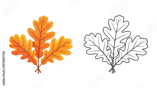 A colorful oak leaf alongside its black and white outline version