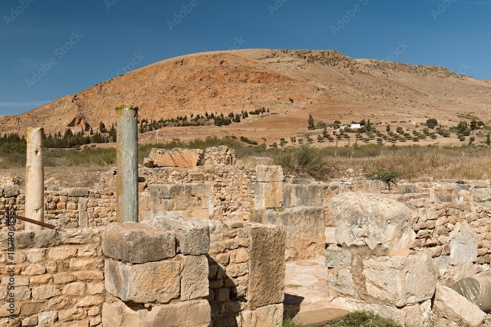 Fototapeta premium View of the ruins of the ancient Berber, Punic and Roman city of Bulla Regia. House of the New Hunt. Tunisia. Africa.