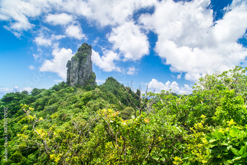 Cross island hike, Te Rua Manga, The Needle. Cook Islands, Rarotonga