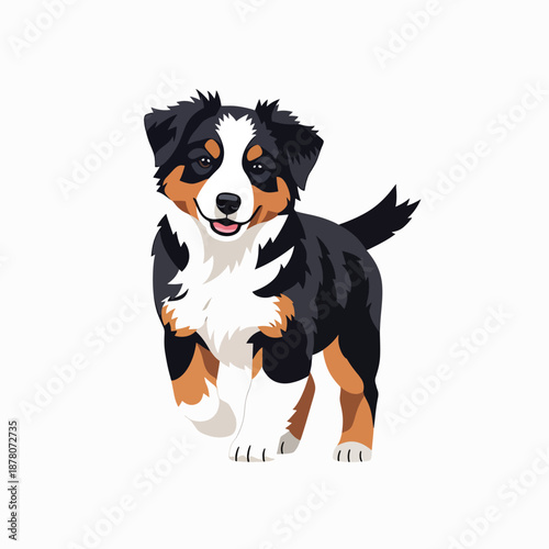 Bernese Mountain Dog Running