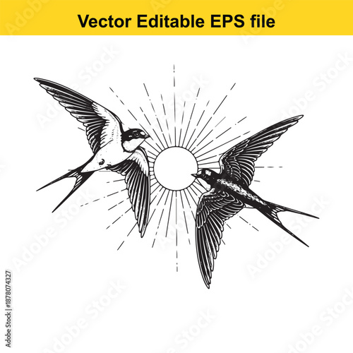 Two swallow birds flying towards each other with sunburst illustration background