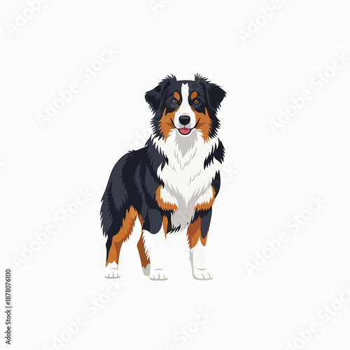 Australian Shepherd Dog Illustration