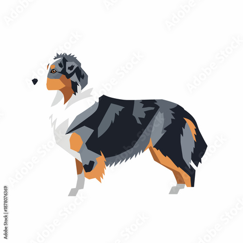 Australian Shepherd Dog