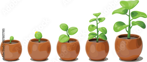 Potted plant growth stages illustration showing indoor houseplant development from small seedling to mature leafy plant for home gardening, botanical education, and nature design
