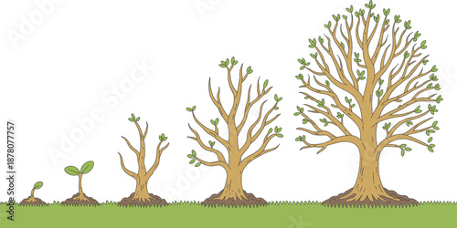 Set of 5 tree growth stage icons from sprout to mature tree, ideal for nature, education, and eco design themes.