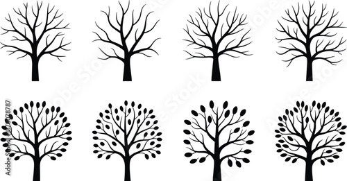 Tree silhouette growth stages collection showing bare winter branches to leafy mature trees, seasonal change concept for nature design, landscaping, ecology, and botanical illustration