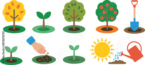 Tree growth stages illustration set showing seed planting, watering, sunlight care, young sapling, mature fruit tree, and gardening tools for agriculture education and nature concepts