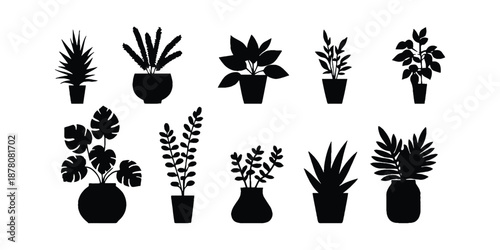 Potted Plant Silhouette Collection. Indoor Houseplant Silhouette Set