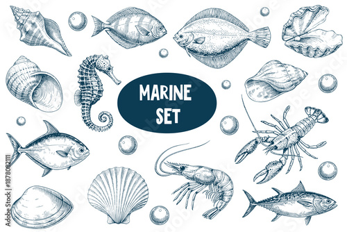 Comprehensive marine set of hand drawn sea creatures and shells in blue ink on a white background