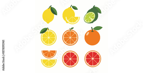 Flat citrus fruit vector icon set with whole and sliced fruits