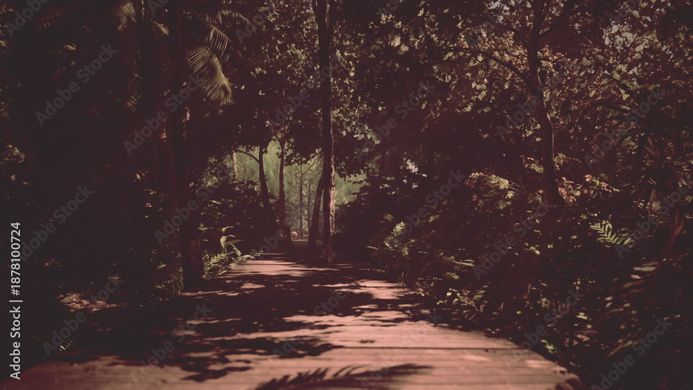 Obraz premium A serene wooden walkway meanders through a verdant forest, bathed in gentle evening light. The scene exudes peace and invites exploration of natures beauty.