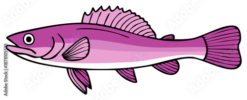 Illustration of Pink Fish with Outline Vibrant Aquatic Life Freshwater Creature