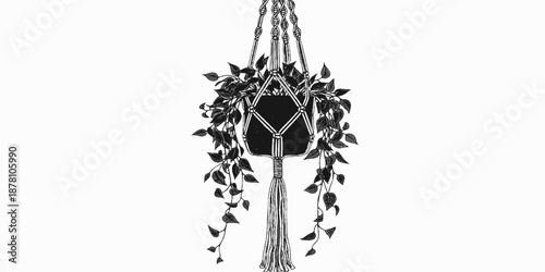 A macrame hanging planter with long tassels holding a small succulent