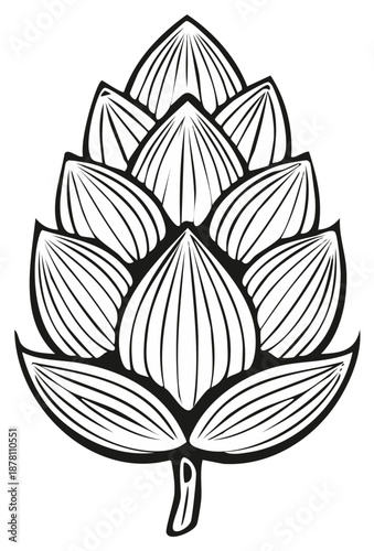 Stylized Illustration of Hops Plant in Black and White Outline