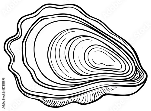 Oyster Seashell Line Drawing Vector Illustration Black and White