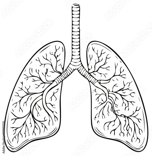 Stylized anatomical illustration of human lungs and trachea in black and white outline