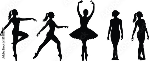 Silhouettes of female ballet dancers performing elegant poses and movements, representing classical dance, grace, flexibility, artistic performance, and professional choreography concept.