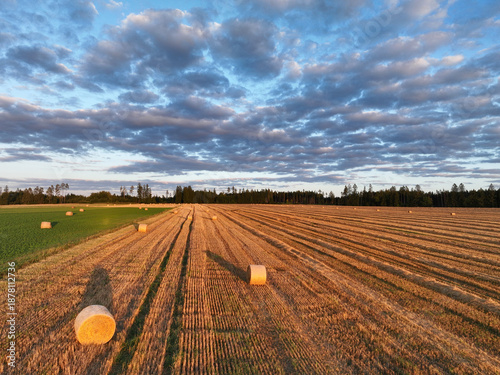 autumn landscape with field