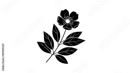 Simple black and white illustration of a flowering plant with leaves.
