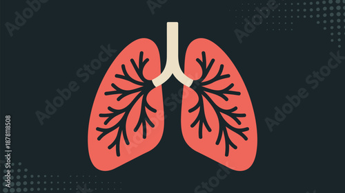 Human lungs illustration Vector