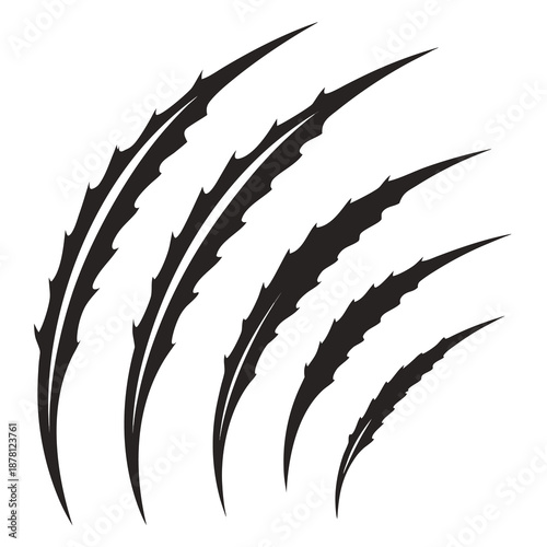 Dramatic black claw scratches design element showcasing powerful animalistic energy and bold graphical impact high quality