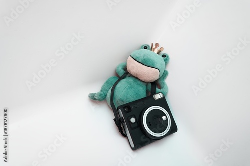 Cute plush frog wearing a crown, chilling with an instant camera on a clean white background