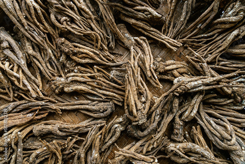Dried roots arranged on woven bamboo mat