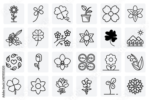 A Wide Variety Of Garden And Bouquet Flowers, Including Peony, Dahlia, Daffodil, Lily, And Elegant Orchid Blooms