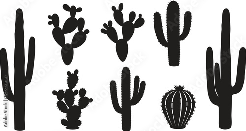 Desert landscape silhouette with various cactus plants and succulents
