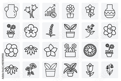 Decorative Blooming Flowers And Houseplants – Gerbera Daisy, Plumeria, And Lavender For Home Decor And Lifestyle Content