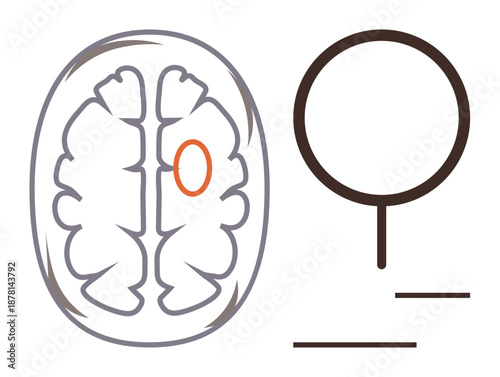 Neurology, medical research, brain function, scientific study, mental health, diagnostics. Illustration of a brain with magnifying glass and highlighted region. Neurology and medical research idea