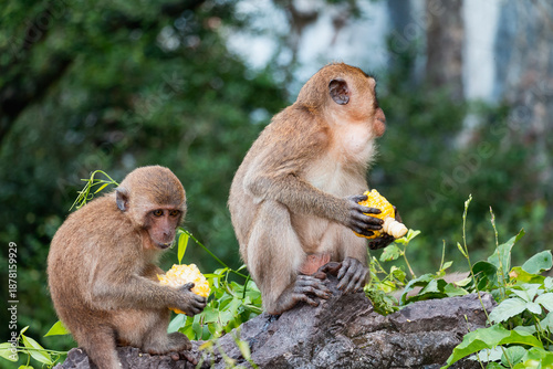 Nature and architecture of Thailand, Phuket