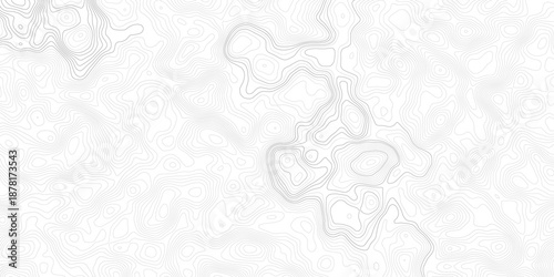 Abstract topographic map line pattern on white background featuring minimalist contour terrain lines in blue and cyan, forming a modern geographic elevation vector