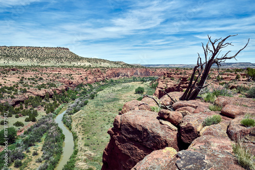 High View into a Deep Rocky Canyon and Prairie