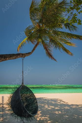 Hanging swing