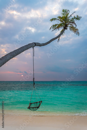 Tropical beach with a swing