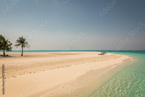 Vast beach with palm trees