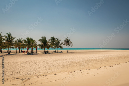 Vast beach with palm trees