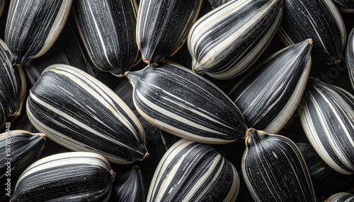 Wallpaper Mural Sunflower seeds pattern Torontodigital.ca