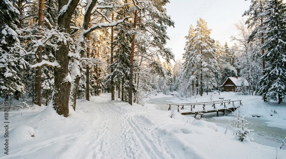 Fototapeta premium Snowy forest path with a bridge and cabin.