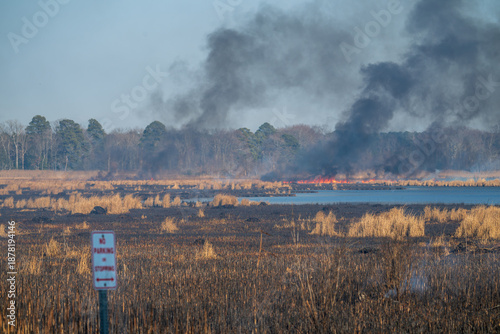 Quadro em tela Controlled Burn