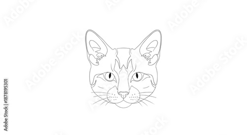A line drawing of a cats face with pointy ears and whiskers