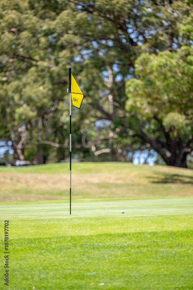 Obraz premium Golf flag