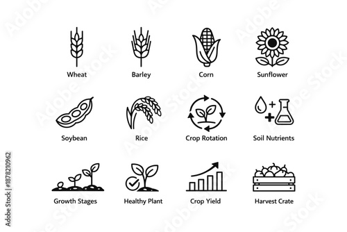 Agricultural icons: wheat, barley, corn, sunflower, and more farming symbols