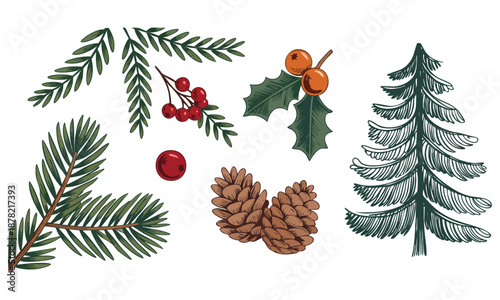 Vector nature illustration retro flat style cartoon forest tree cone mistletoe and plants stickers cozy cheerful winter elements for greeting cards labels patches and stamps
